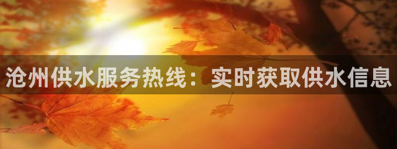 球友会app干啥的软件