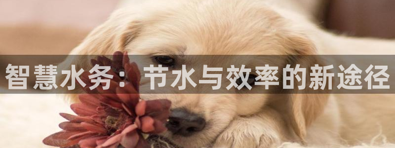 球友会在线登录账号吗安全吗