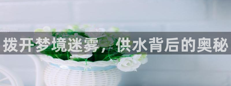 球友会联赛