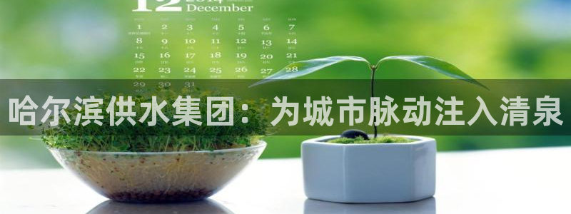 球友会比赛结果查询系统