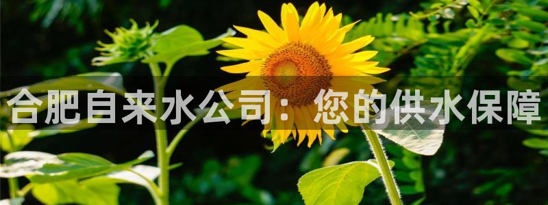 球友会·(QY)官方网站
