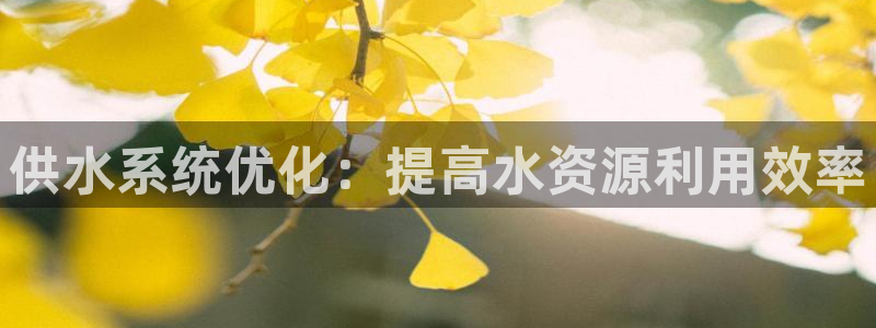 球友会qyh88bet