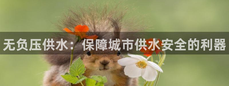 球友会提现