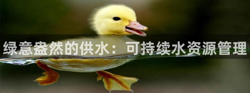 球友会比赛结果查询官网