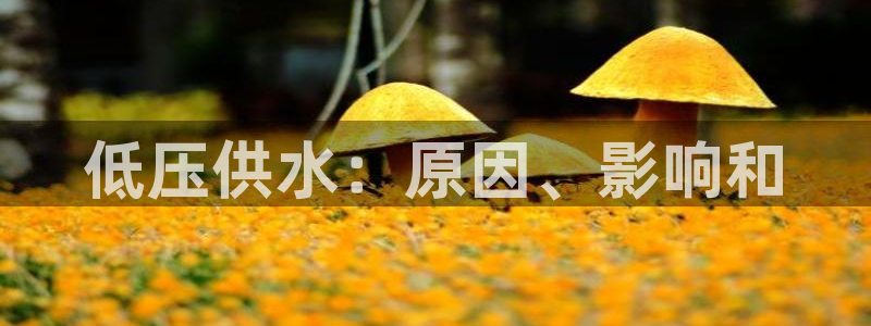 球友会链接