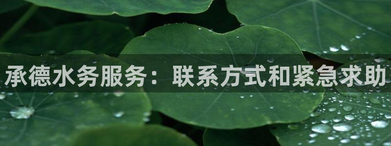 球友会是什么