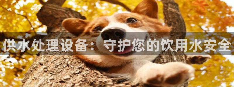 球友会QY