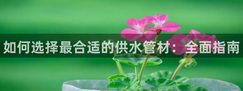 球友会网站多少钱一个