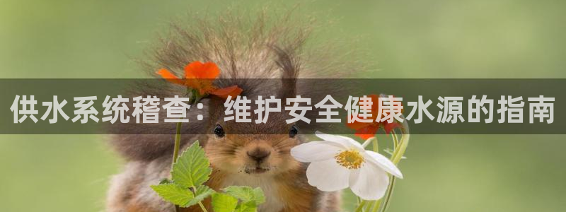 球友会app网址