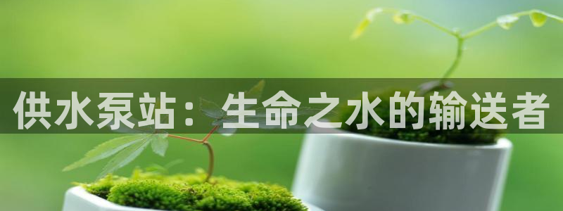 关键词