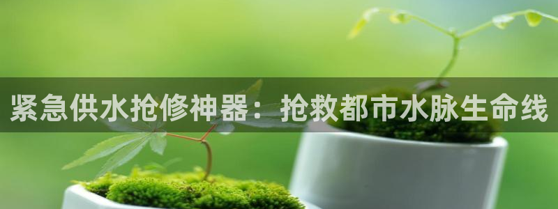 球友会qy怎么进不去