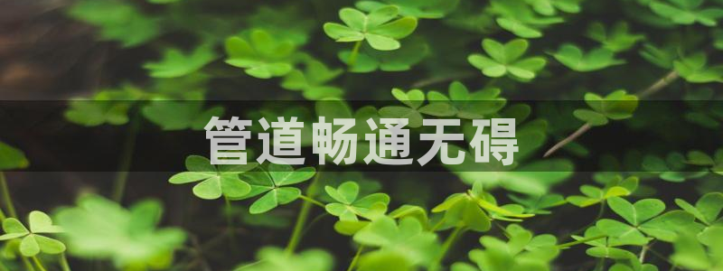球友会app官方网站下载