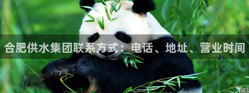 球友会拼音