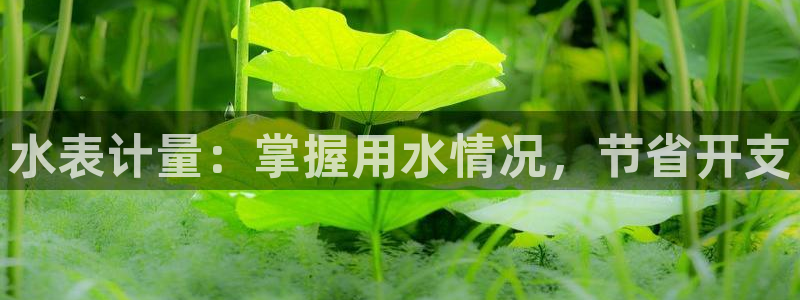 QY球友会