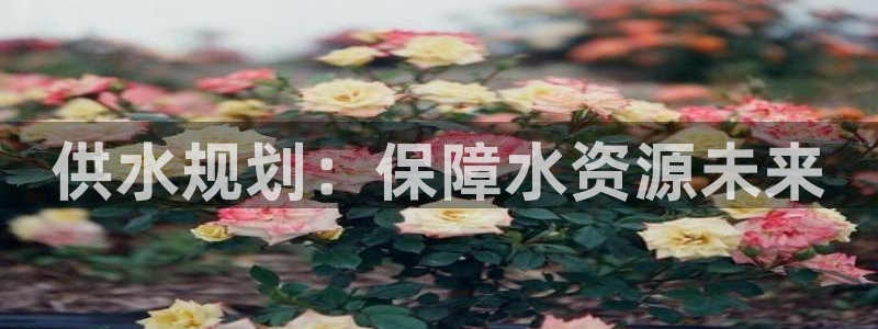 球友会不出款