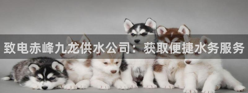 球友会app下载QY