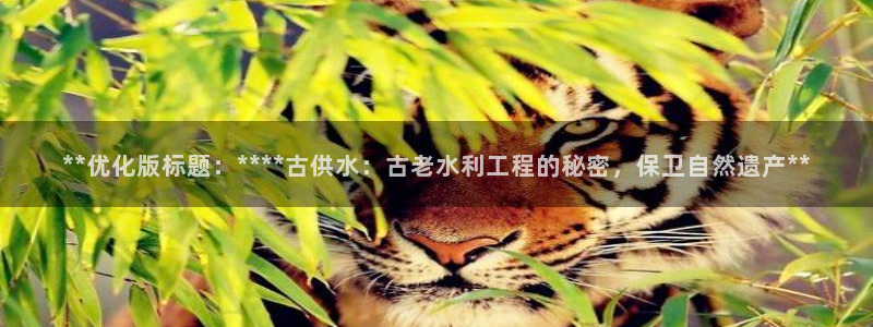 球友会赛程