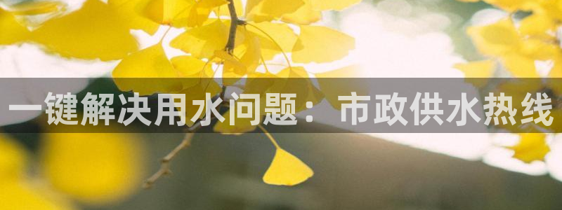球友会体育app官方版下载安装最新