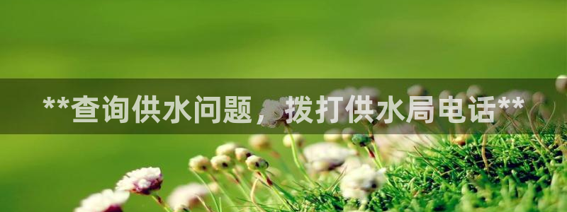 球友会破解码