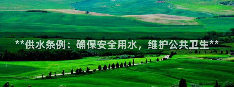 球友会比赛结果查询官网