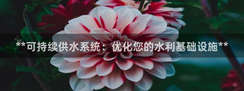 球友会app官网下载安卓