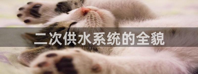 球友会官方网站入口