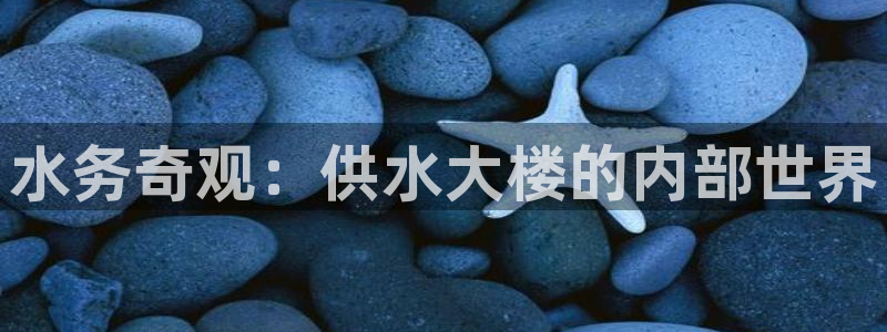 球友会官网登录入口