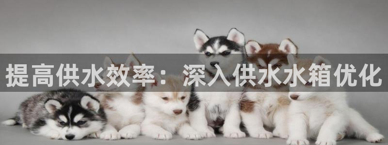 球友会英文怎么说呢翻译
