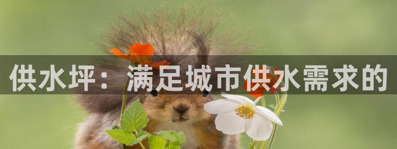 球友会app干啥的啊