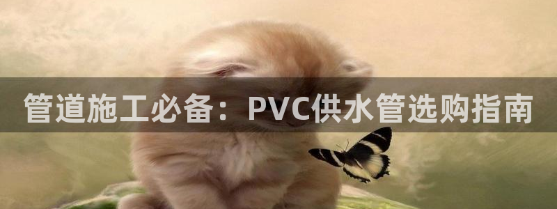 球友会下载安装