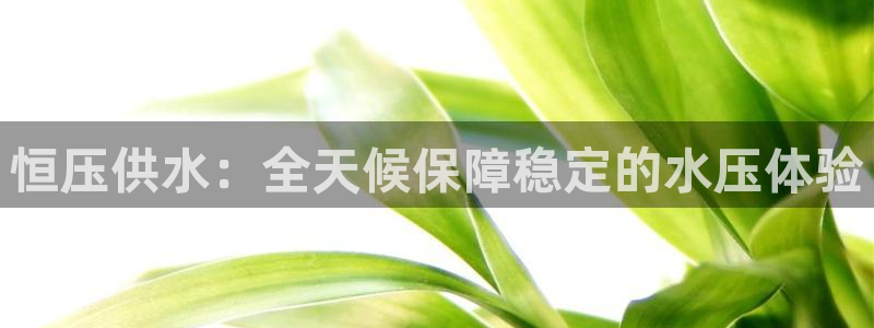 球友会提款审核中