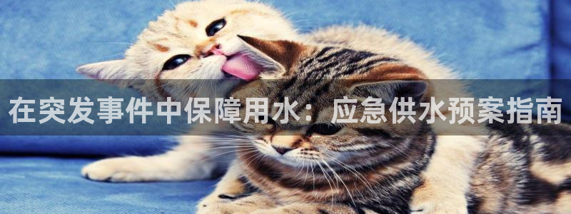 球友会的会字是哪个会