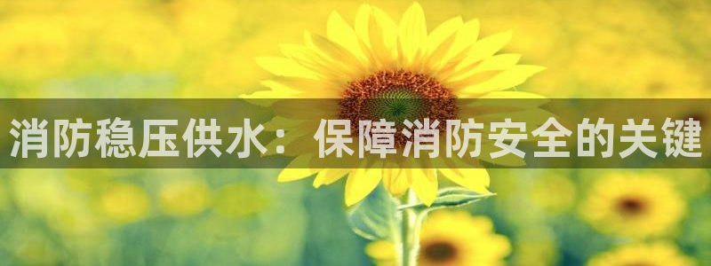 球友会app官方网站