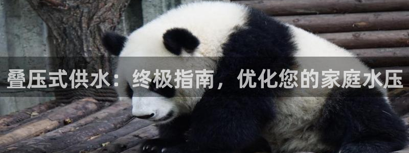 球友会体育app下载官网苹果