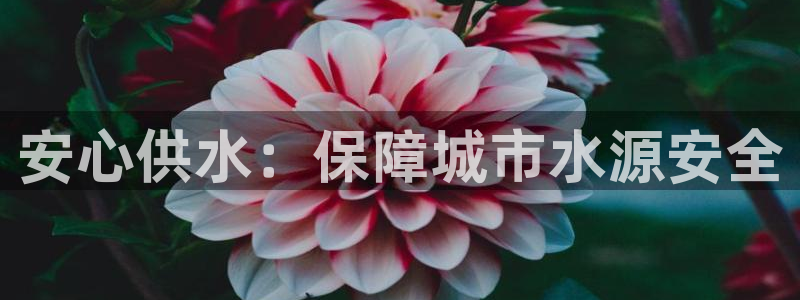 球友会比赛结果查询官网