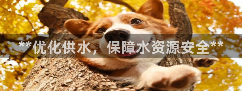 球友会英文怎么说呢翻译