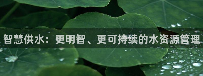 qy球友会体育官网下载
