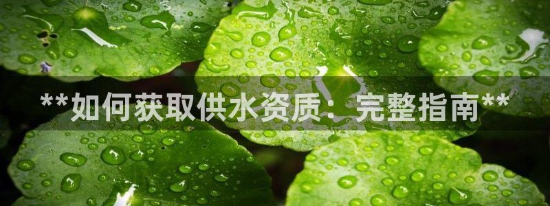 球友会app官方网站下载
