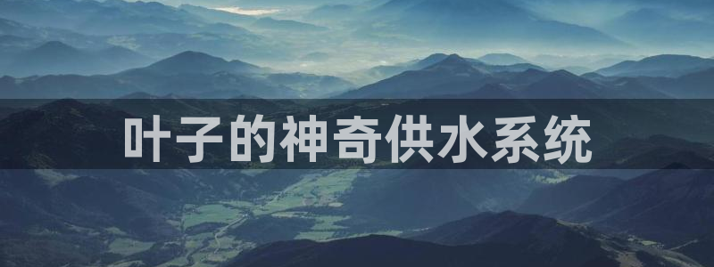 球友会提现游戏平台抽查