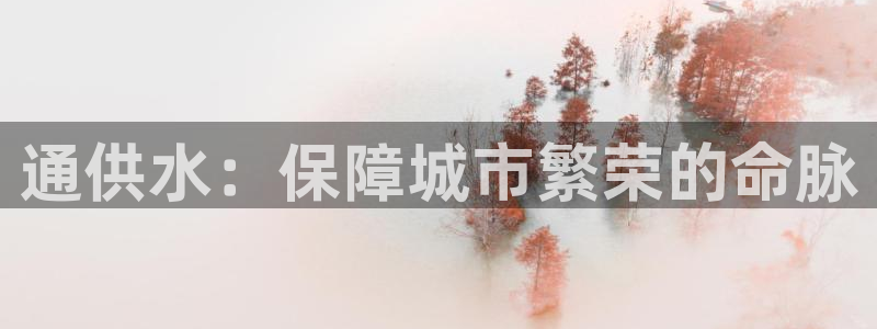球友会体育app下载