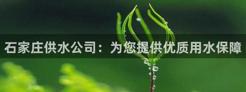 球友会怎么样