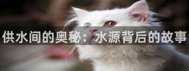球友会破解码