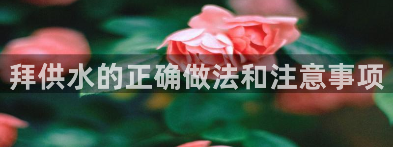球友会qy