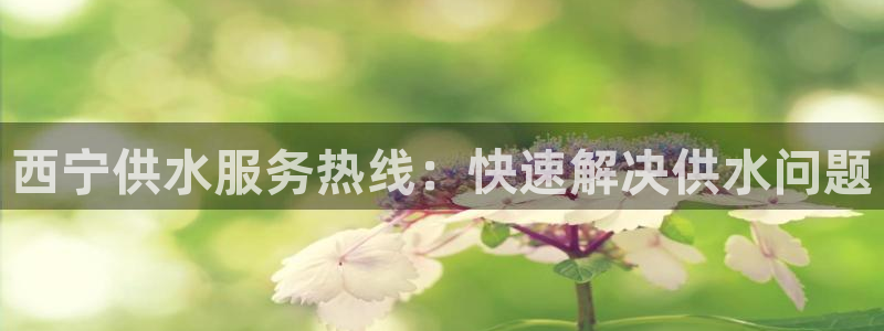 球友会比赛结果查询网站