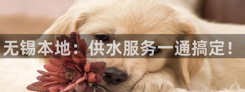 球友会骂客服封号