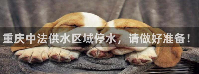 球友会app干啥的呀