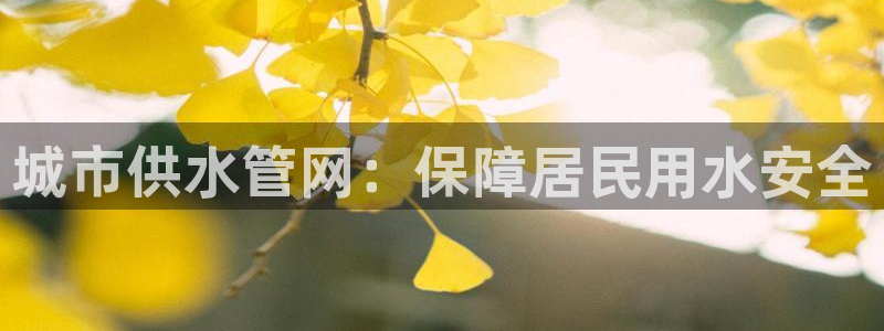 球友会登录球友会官网