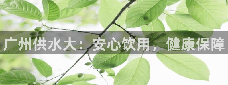 球友会比赛结果查询系统