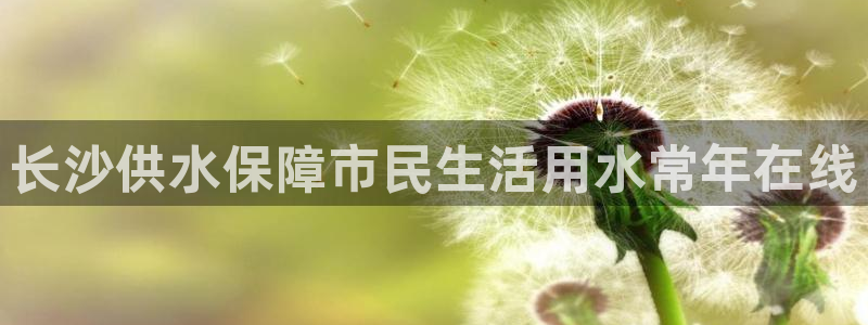 球友会官网入口网址