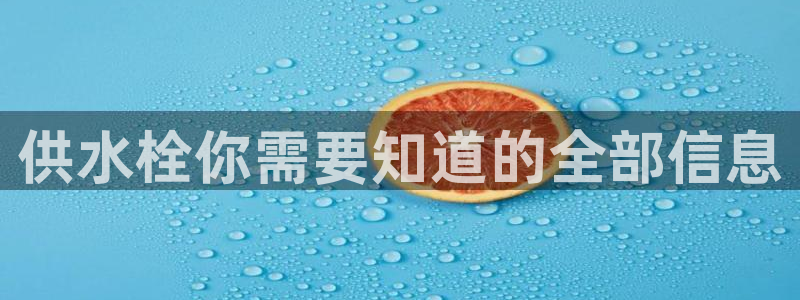球友会联赛